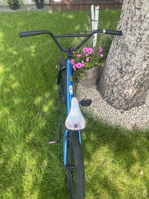 Bmx galaxy  earlybird