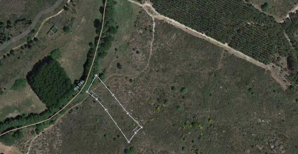 terreno com 2 hectares