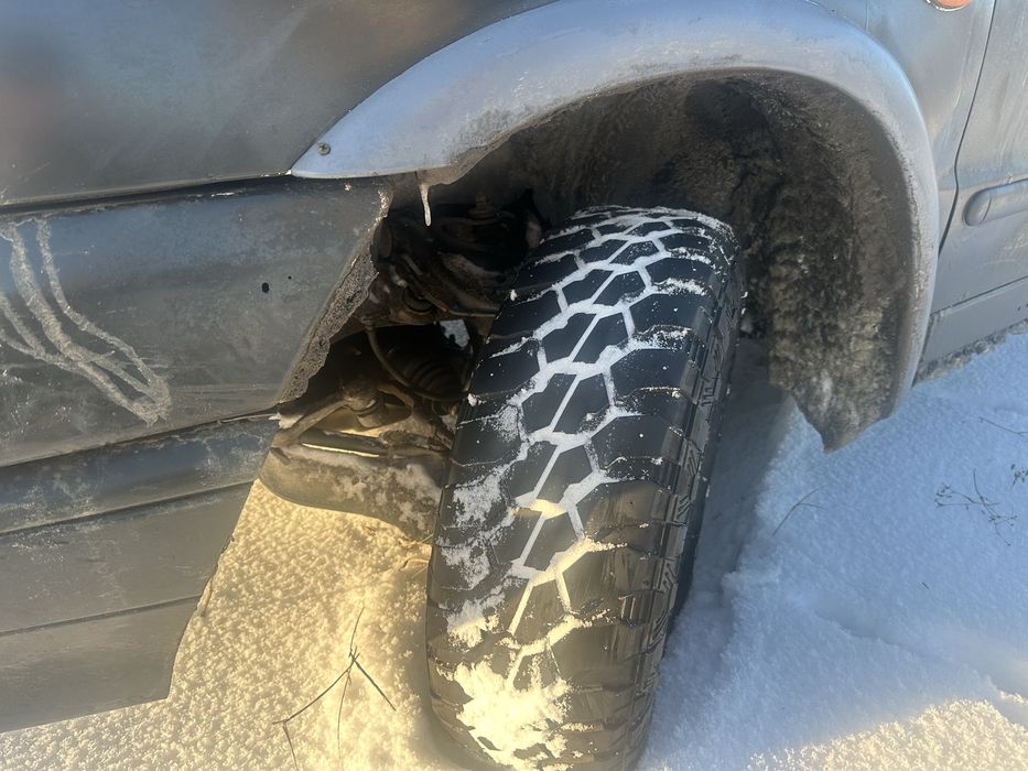 Продам Бойового коня