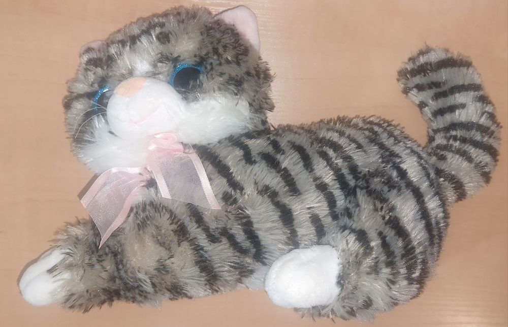 Красиві м'які киці