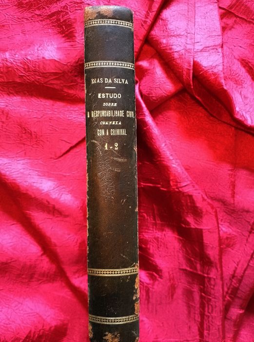 A Responsabilidade Civil Conexa com a Criminal