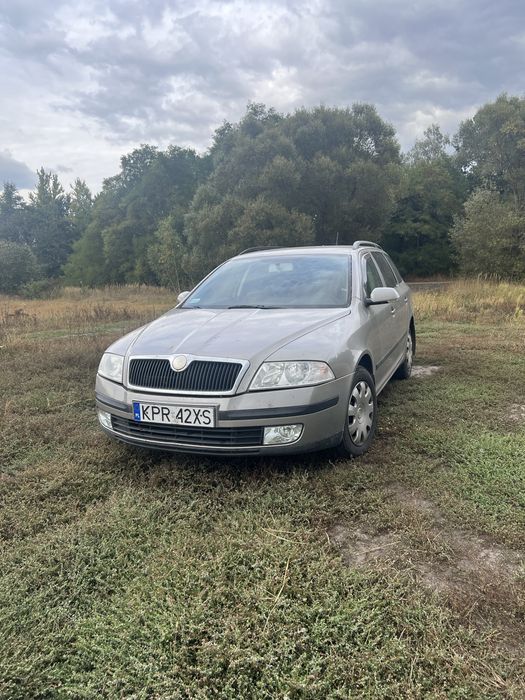 Skoda Octavia 1.9 TDI 2007 рік
