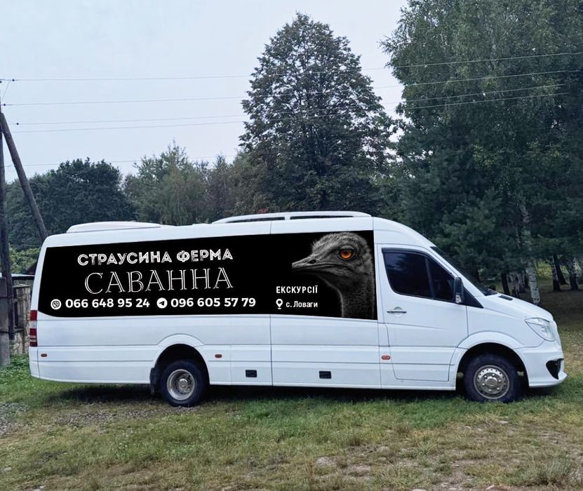 Нерегулярні перевезення, комфортабельний автобус на 25 місць