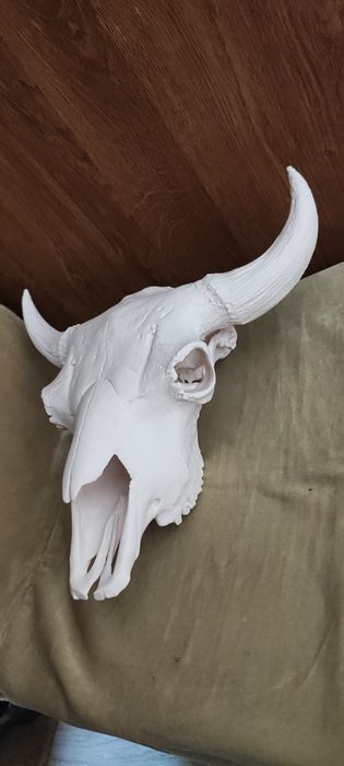 Czaszka bizona wydruk 3d ozdoba