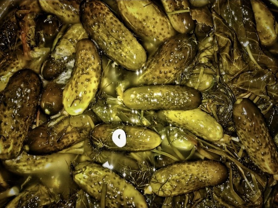 Ogórki Kiszone Tegoroczne