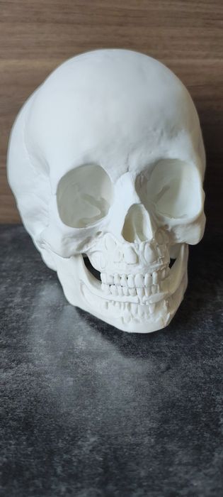 Czaszka dziecka wydruk 3d skan medyczny