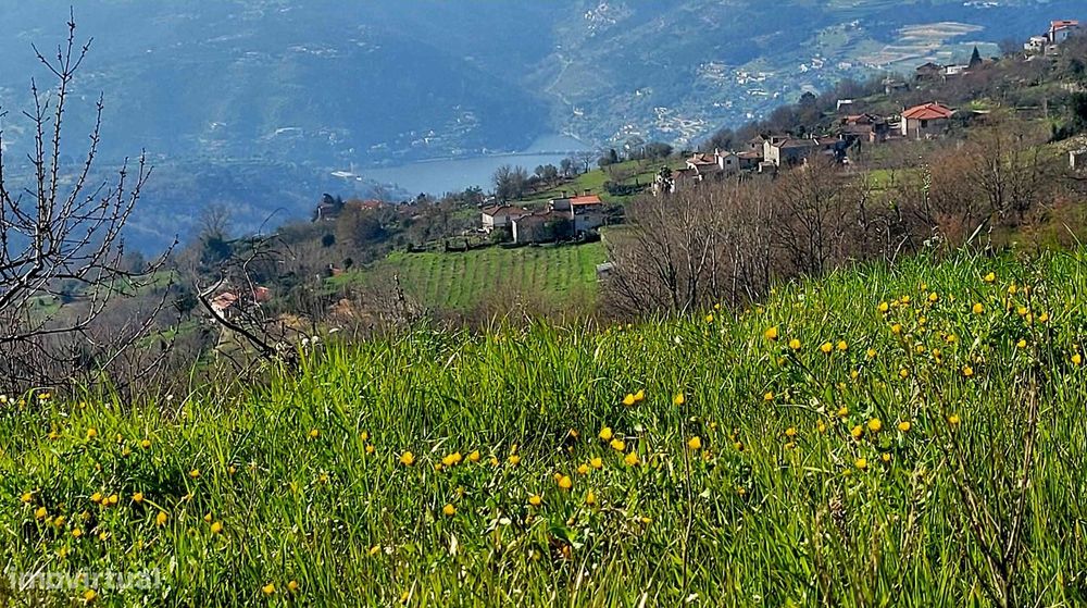 Terreno DOURO c/ projeto e licença!