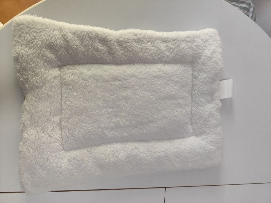 Kit completo para gato bebé