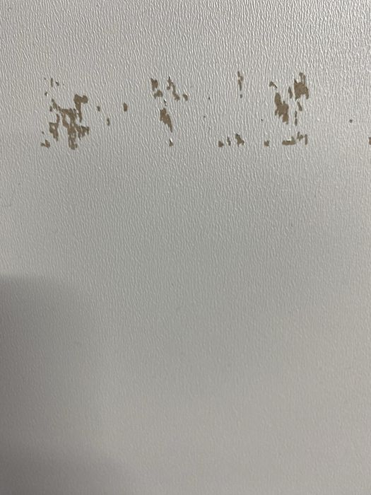 Zestaw gadżetów ślubnych