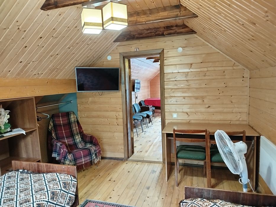 Відпочинок в Карпатах.