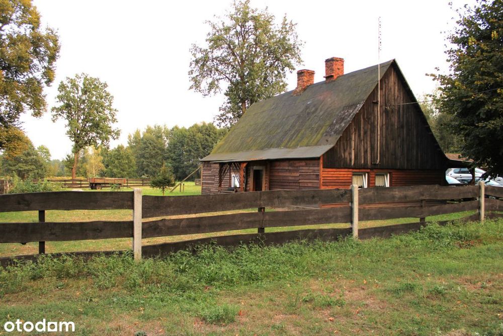 Siedlisko w m. Boruja Nowa