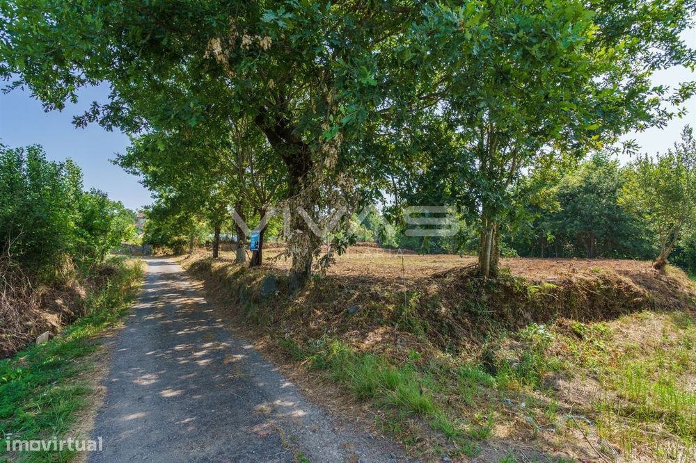 Terreno Rústico  Venda em Pico,Vila Verde