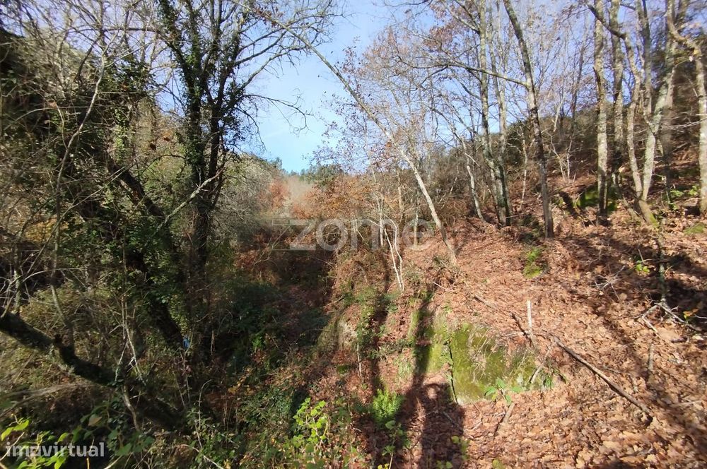 Um espaço de lazer ao lado do Rio