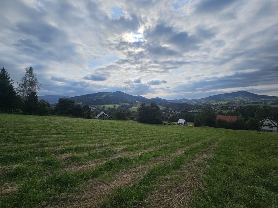 Widokowa działka budowlana z mediami na skraju lasu 10 arów