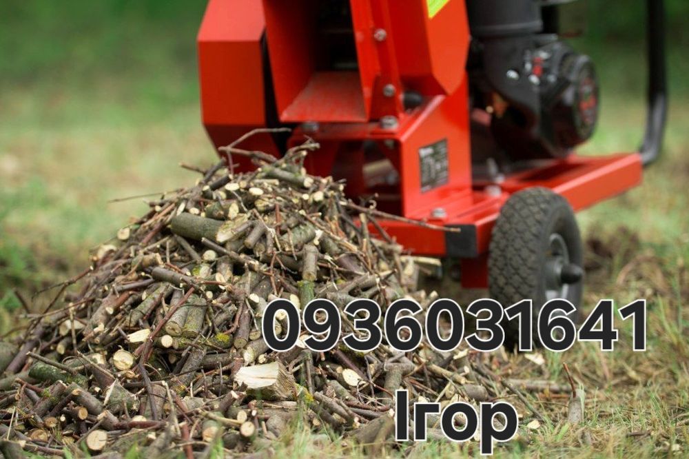 Видалення аварійних гілок/висотне зрізання дерев/локальна підрізка