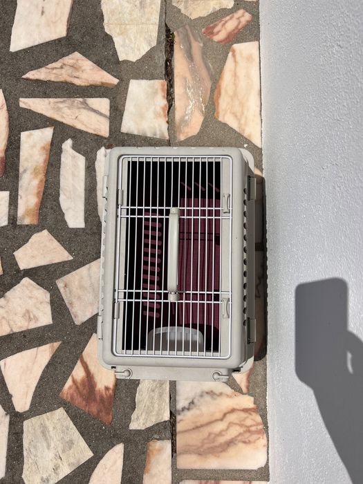 Transportadora cão/ gato