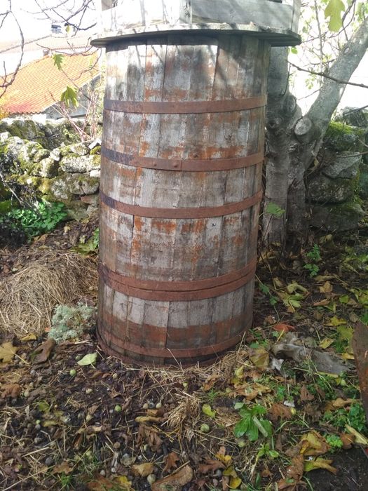 Adorna antiga de vinho