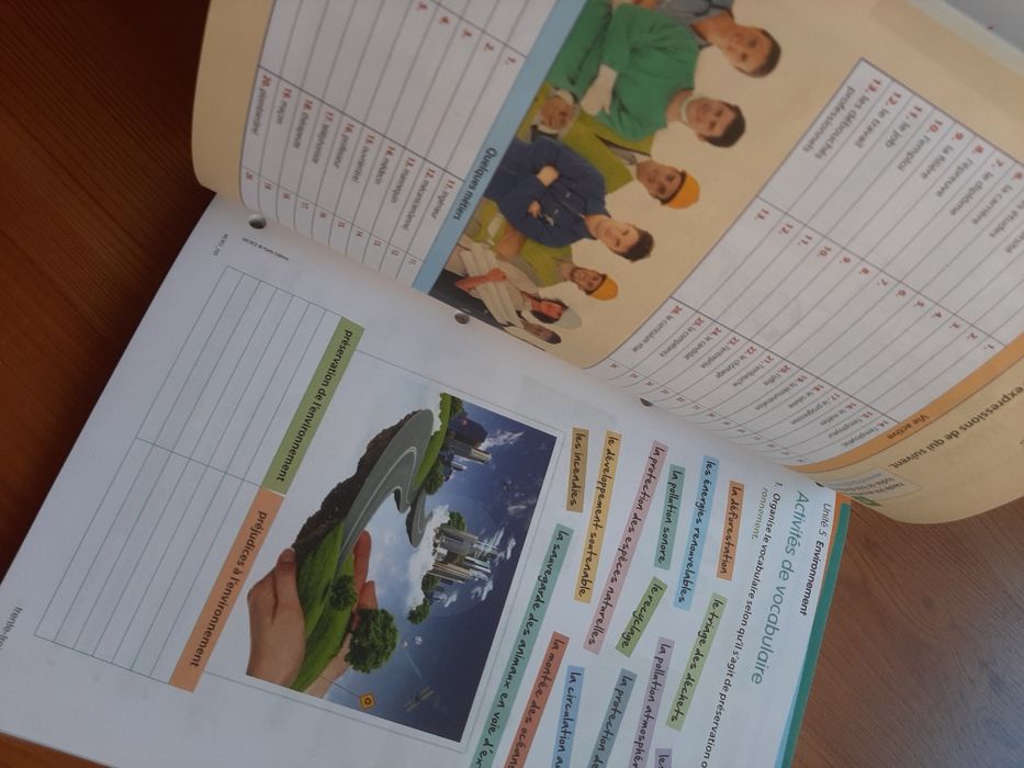 Livro fichas francês 9 ano Mots clés