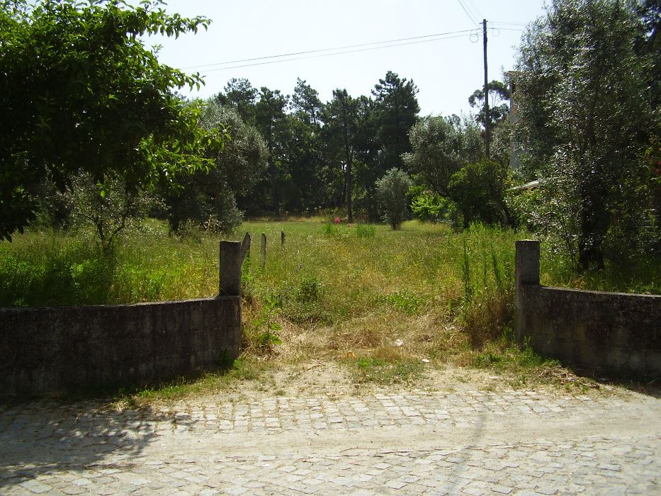 Terreno para construção a 2 km de Mangualde
