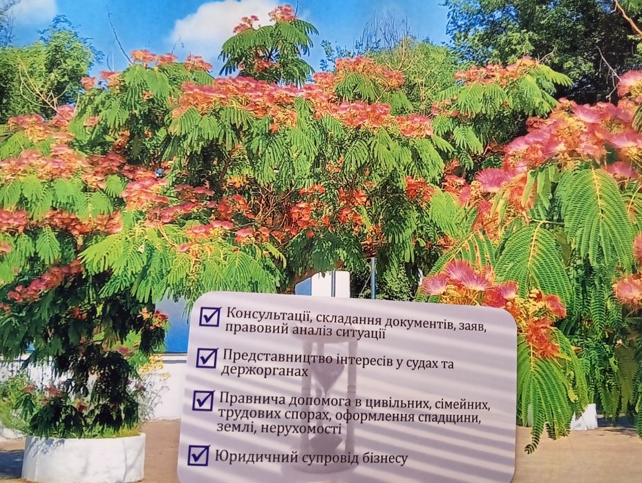 Адвокат правнича допомога