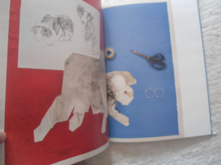 O Cão que comia a chuva por Richard Zimler