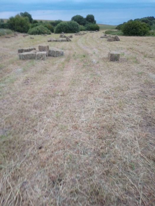 Продам сіно і солому в тюках