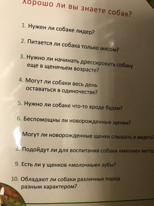 Моя собака