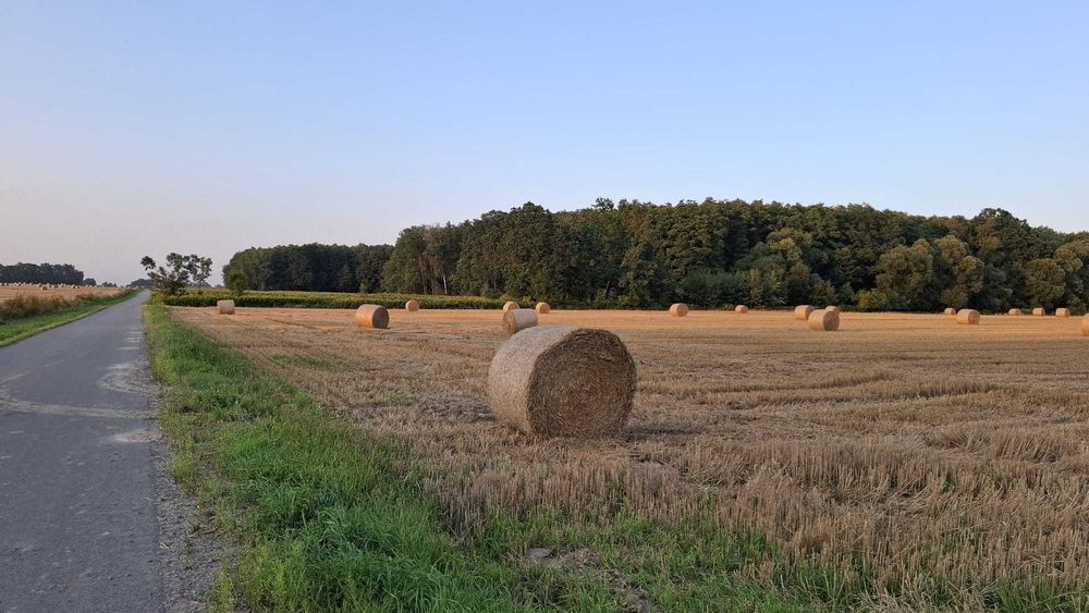 Sprzdam działke 3.20 ha
