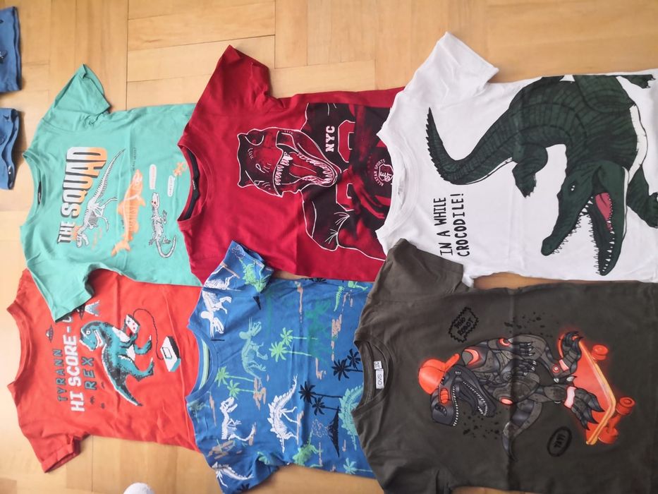 Koszulki letnie dla wielbiciela dinozaurow r 116