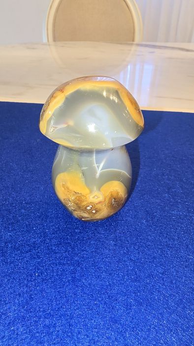 Cogumelo em polychrome jaspe