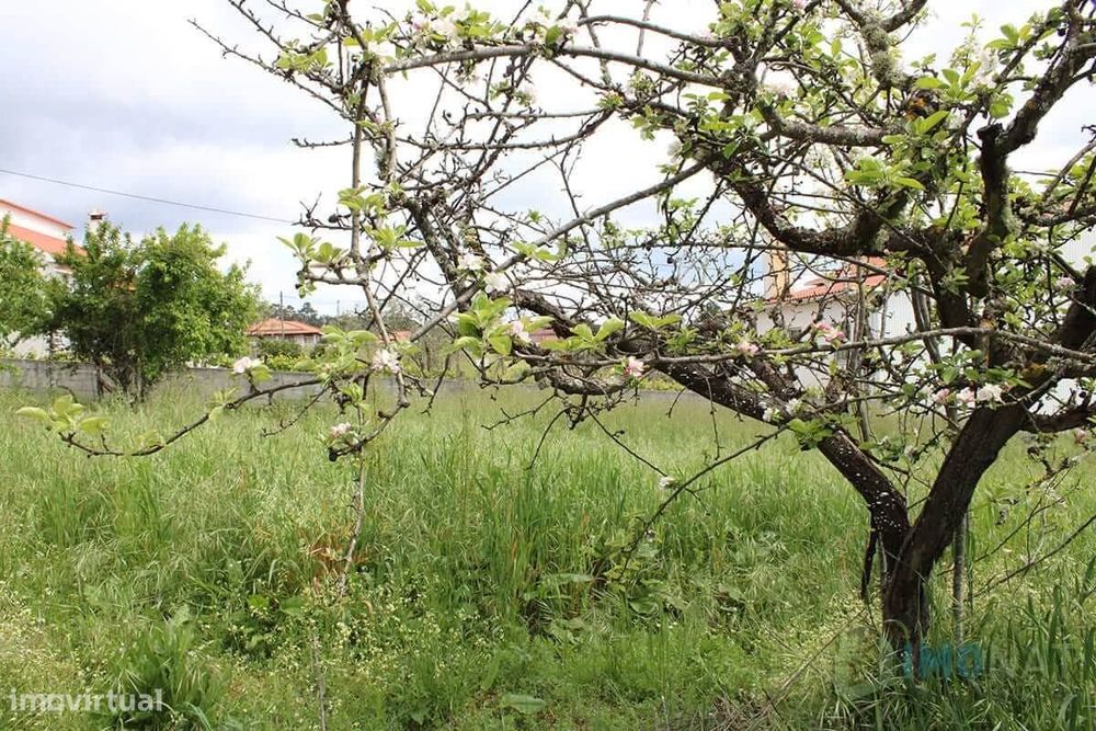 Lote de Terreno