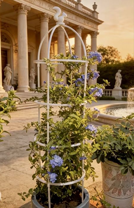 Pergola do roślin z motywem wiewiórki