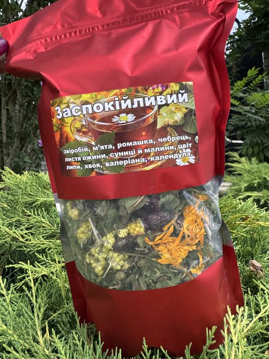 Чай карпатський