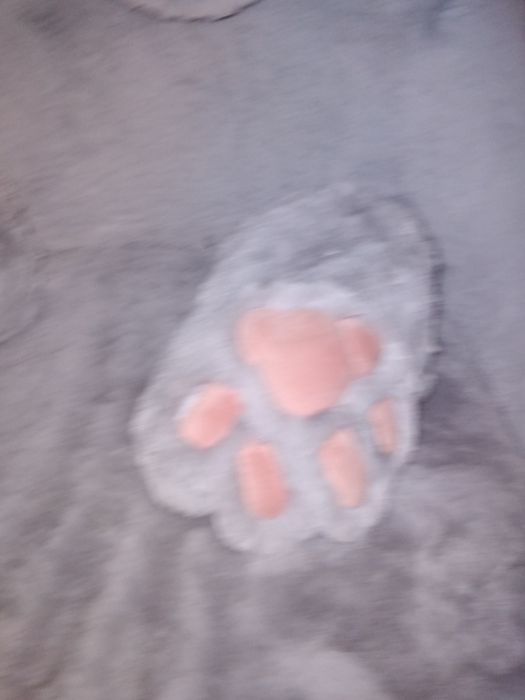 Акция !!!Кресло для  собак, лежак новый