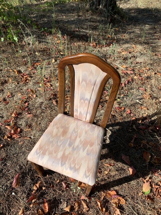 Cadeiras almofadadas conjunto 6