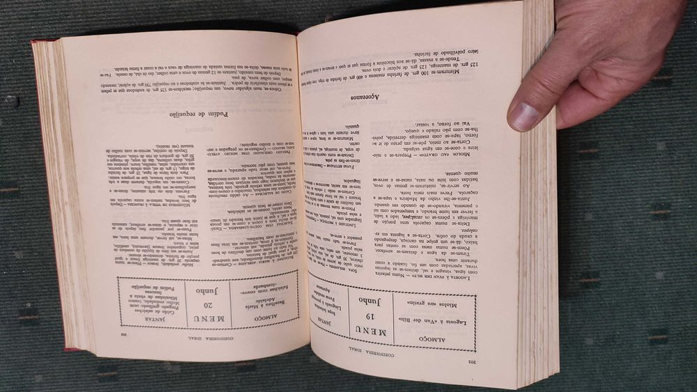 Cozinheira Ideal - Alda de Azevedo