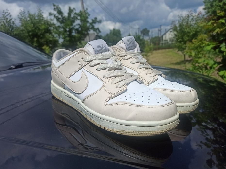 Кросівки Nike SB Low Dunk Pro б/у