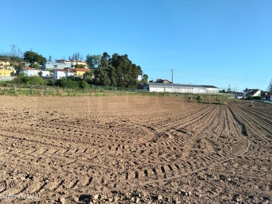 Terreno urbanizável com 19 m de frente- Branca / Albergaria-a-Velha