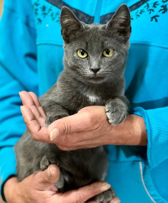 Марсель в добрі руки