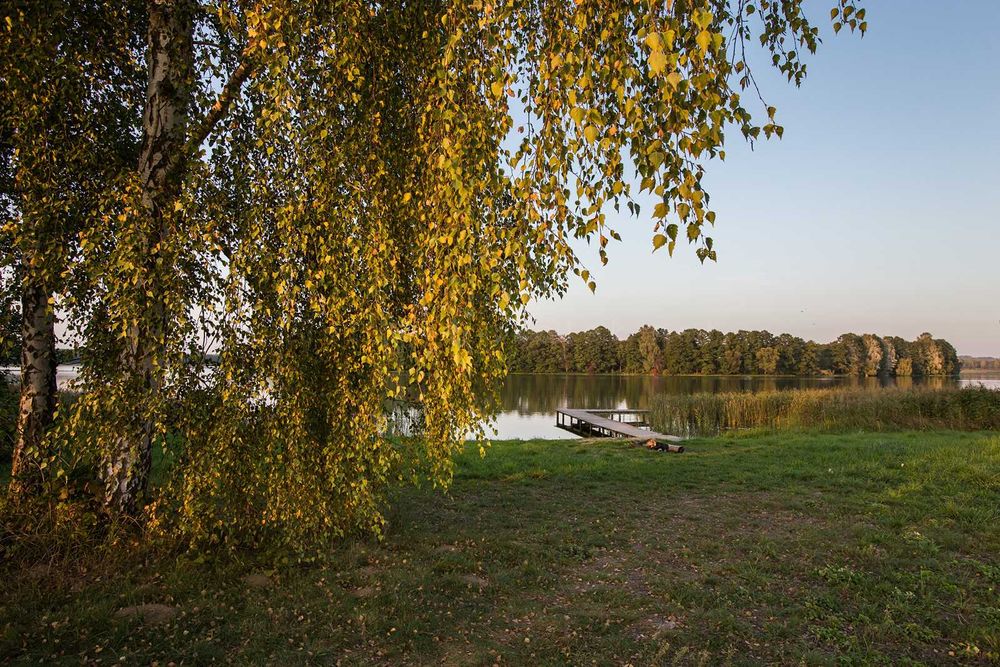 Domek "Zielony zakątek " MAZURY Domek 6 osobowy Wolne termin 19-28 lipiec
