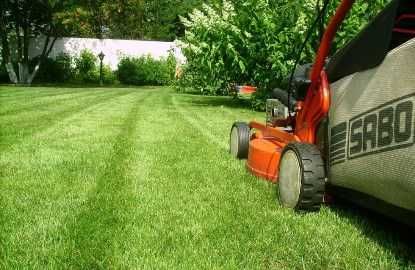стрижка туй та декоративних рослин, косіння трави, стрижка газону