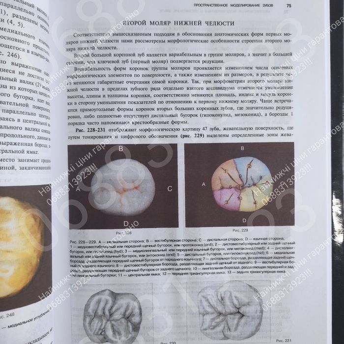 Встигни замовити!! Художественное моделирование .Стоматологія книга