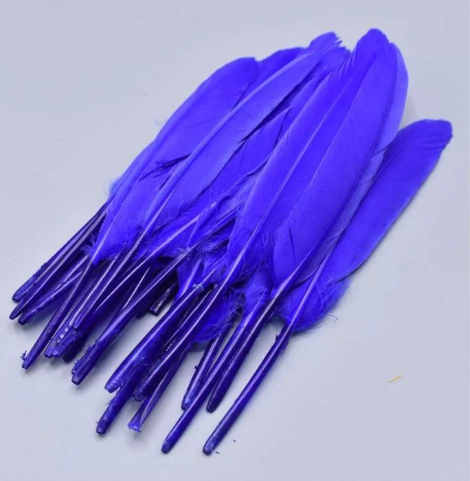 Penas de pato decorativas