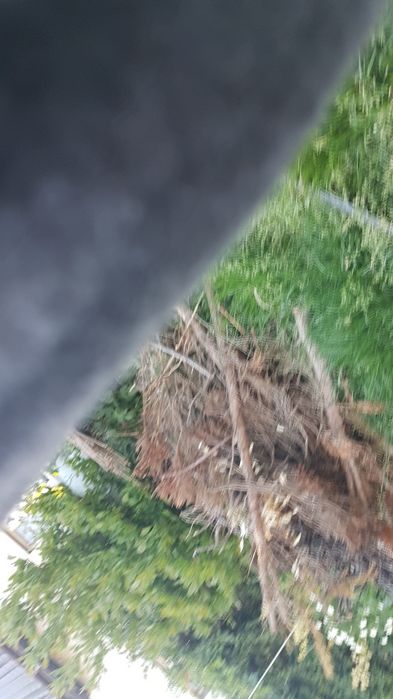 Wózek dziecięcy + spacerówka