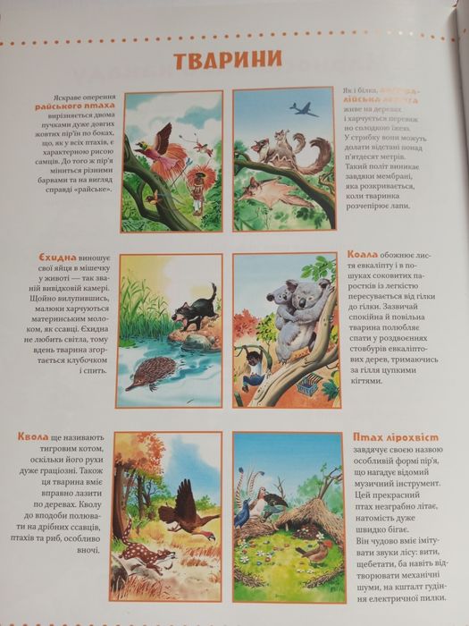 Книга "Про тварин з усього світу"