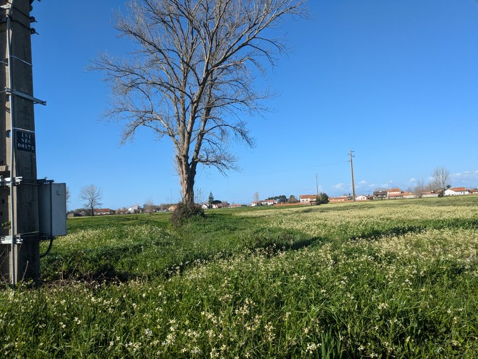 Terreno Rústico em Pardilhó
