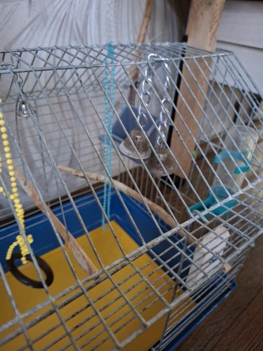 Клітка для папуги з усім, що на фото