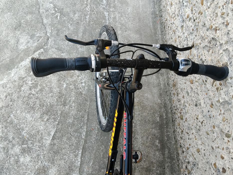 Rower Author buffalo