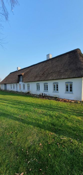 Trzcina strzecha altanka dach z trzciny naprawa serwis renowacja