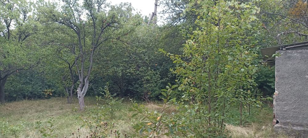 Ділянка 5.43 сот, Шкарівка Білоцерківський р-он